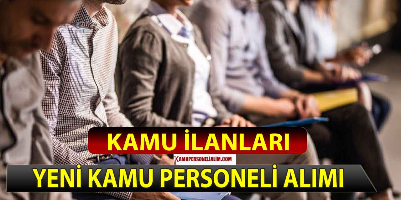 Kamu İlanları! Kadrolu Güvenlik, Şoför ve Programcı Alımı