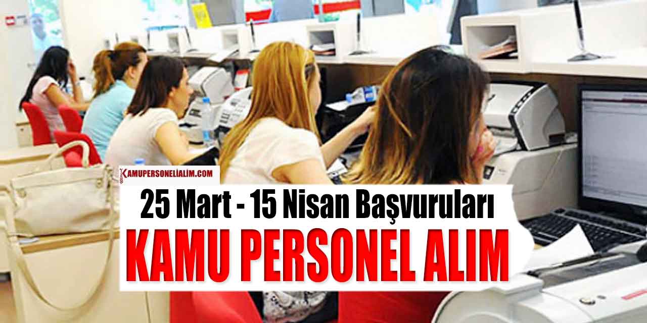 Dicle Kalkınma Ajansı Kamu Personel Alımı ve Başvuru Süreci