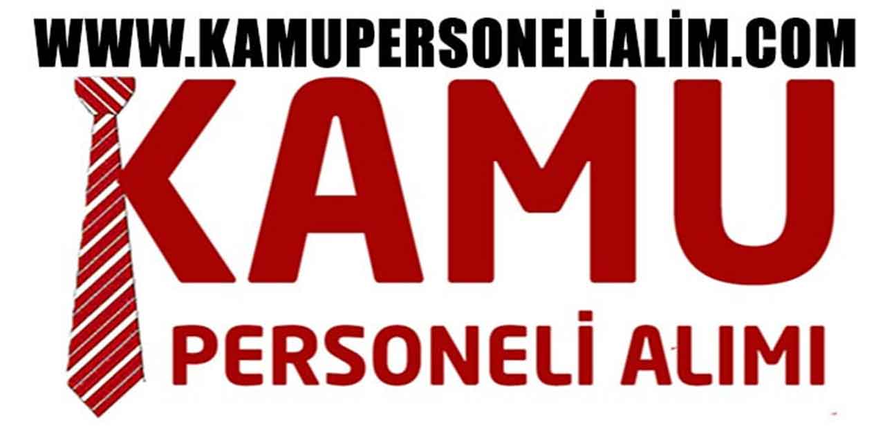 Kamu Personeli Alımı: Kamu İş İlanları Nasıl Başvuru Yapılır?