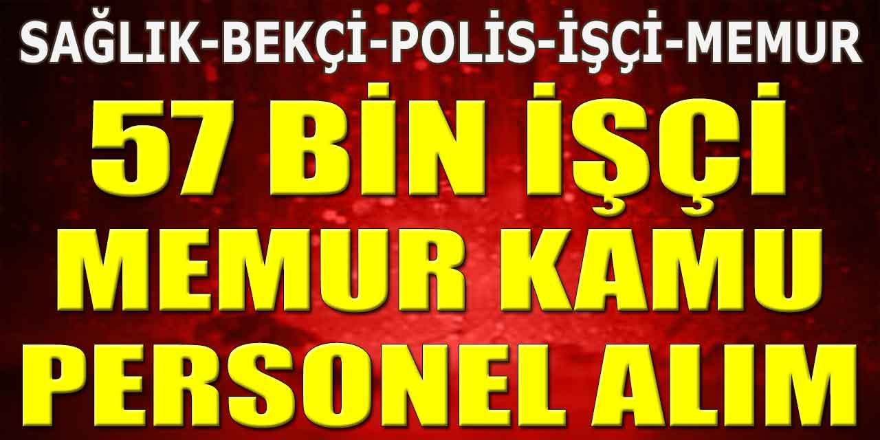 Kamuya 57 Bin Personel Alımı: Hangi Alanlarda, Kimler Başvurabilir?