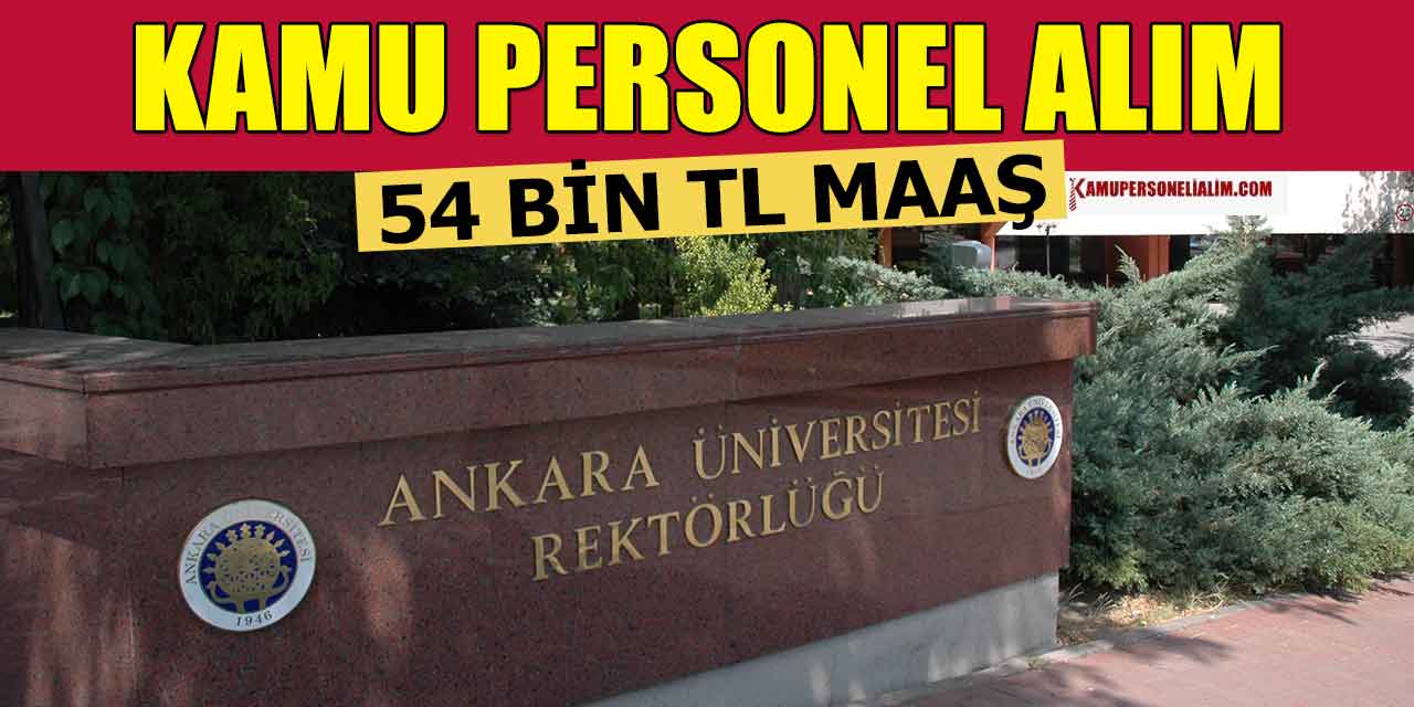 Ankara Üniversitesi ortalama 54 Bin TL Maaşla 3 Kamu Personeli Alacak