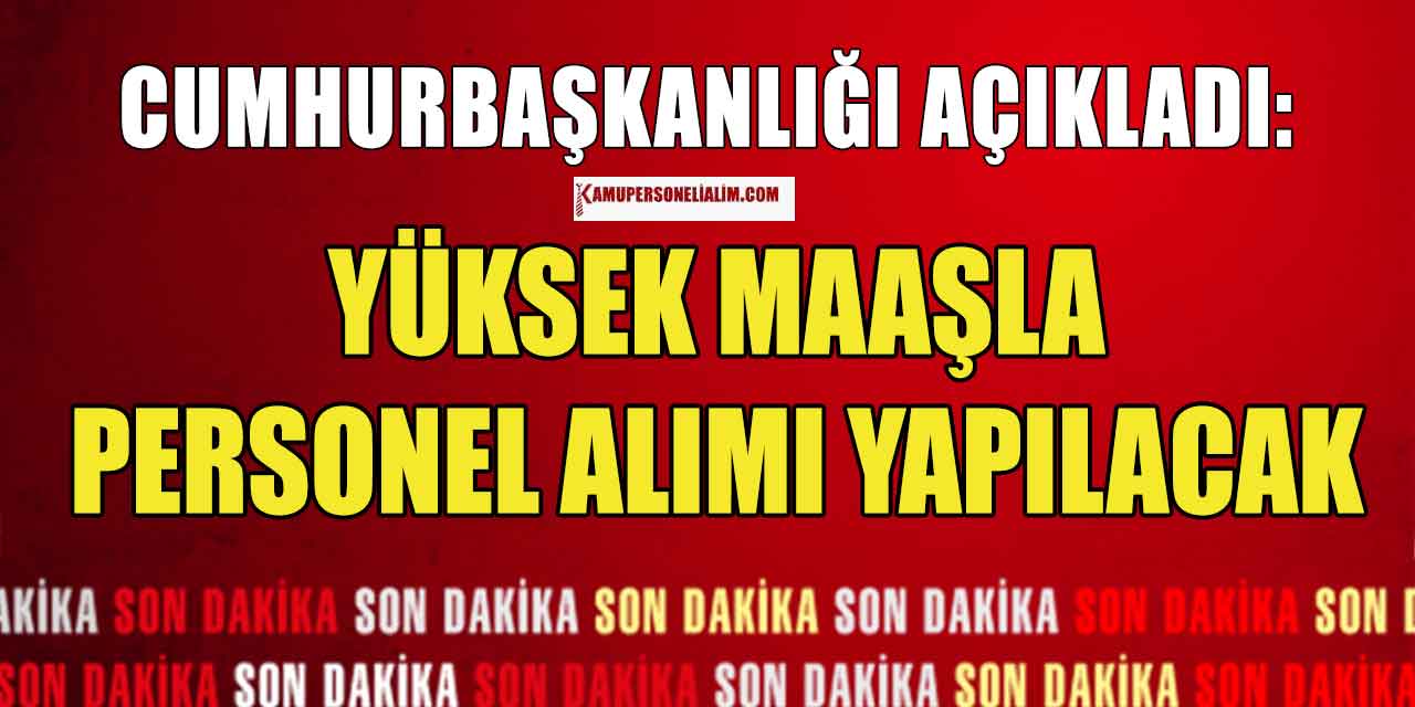 Cumhurbaşkanlığı Proje Bazlı 34 Kamu Personel Alımı Kılavuzu Yayınladı