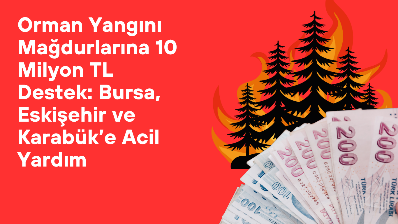 Orman Yangını Mağdurlarına 10 Milyon TL Destek: Bursa, Eskişehir ve Karabük’e Acil Yardım