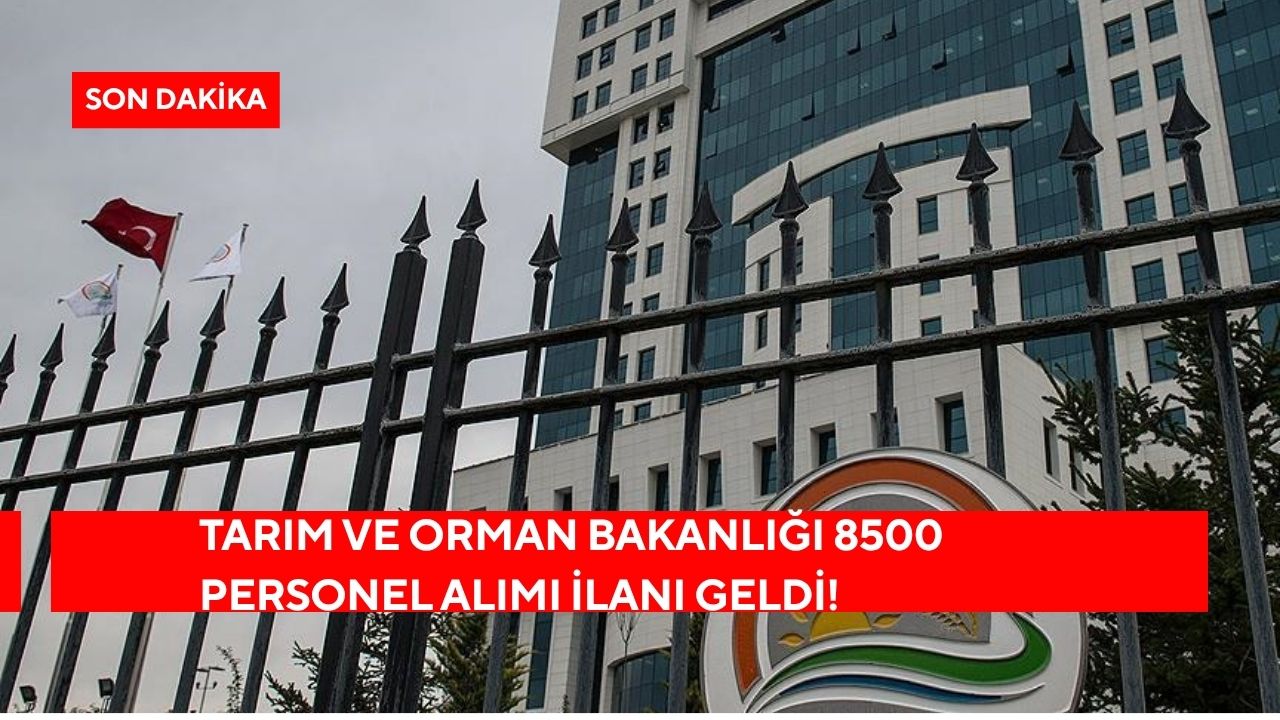 Tarım ve Orman Bakanlığı 8500 Personel Alımı Geliyor! Başvuru Ne Zaman Başlayacak? İşte Kadro Dağılımı ve Şartlar