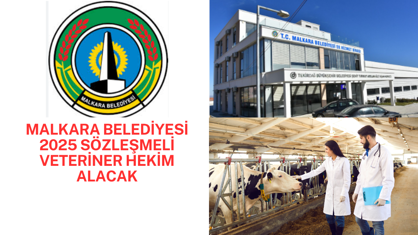 Malkara Belediyesi 2025 Sözleşmeli Veteriner Hekim Alacak