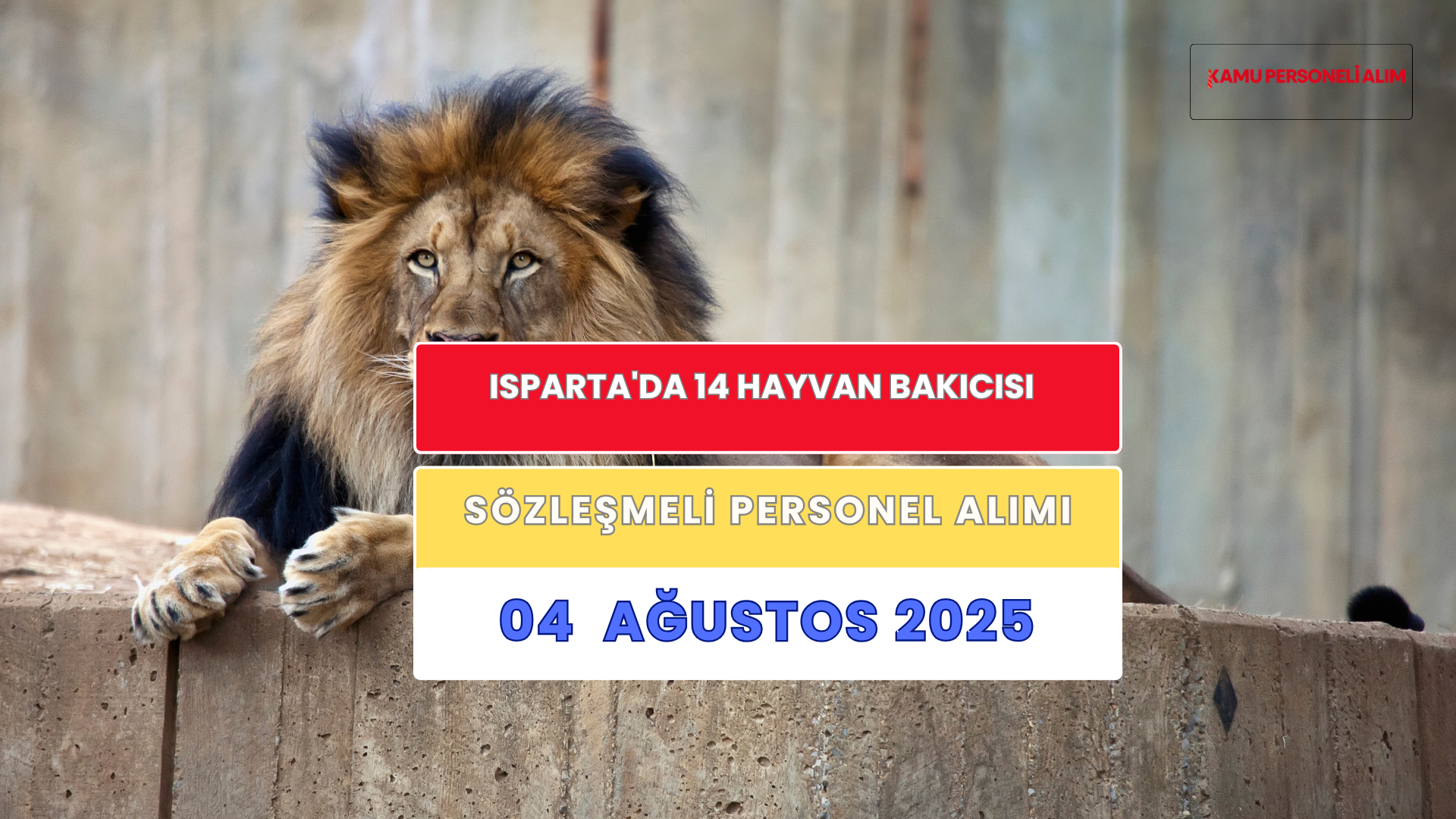 Isparta'da 14 Hayvan Bakıcısı Alınacak: İşte Başvuru Şartları ve Detaylar