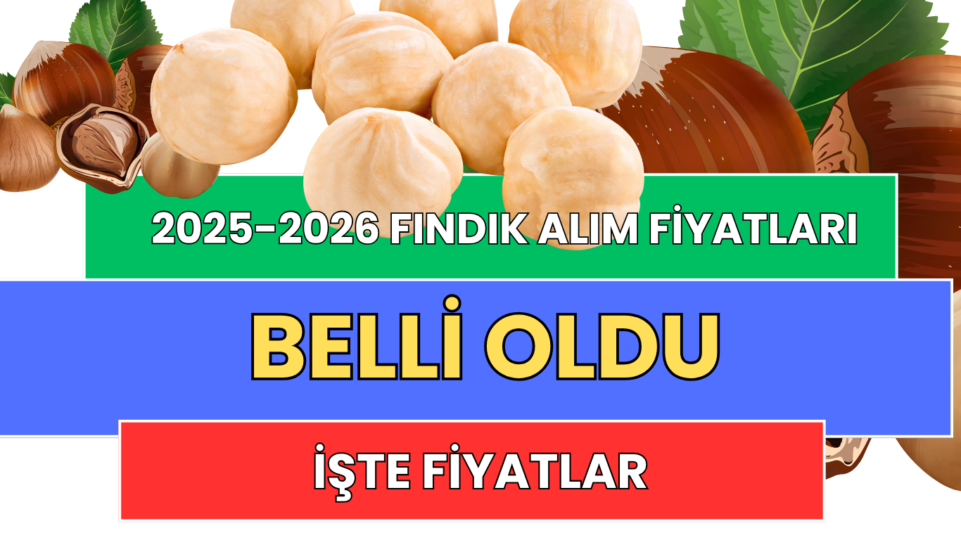 2025-2026 Fındık Alım Fiyatları Açıklandı: İşte Kilogram Başı Rakamlar