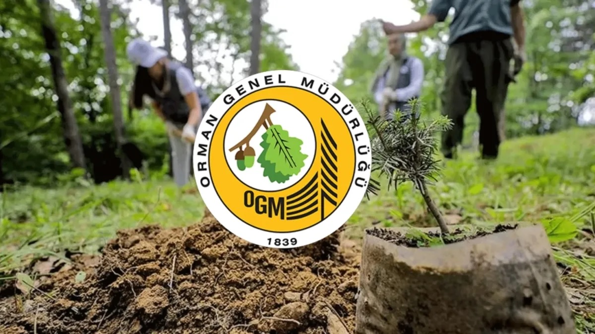 ASHB, OGM ve Valiliklere 525 Personel Alımı Başladı! İŞKUR TYP ve İUP Başvuruları Bu Hafta Sona Eriyor