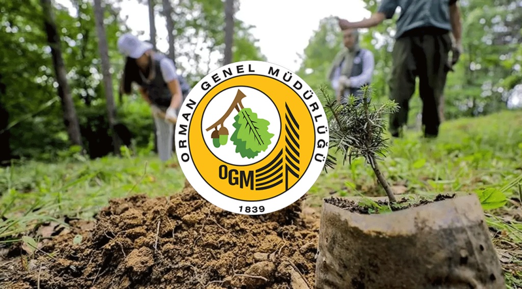 ASHB, OGM ve Kaymakamlıklardan 1.418 Kişilik Dev Alım! İŞKUR İUP İlanları Açıldı