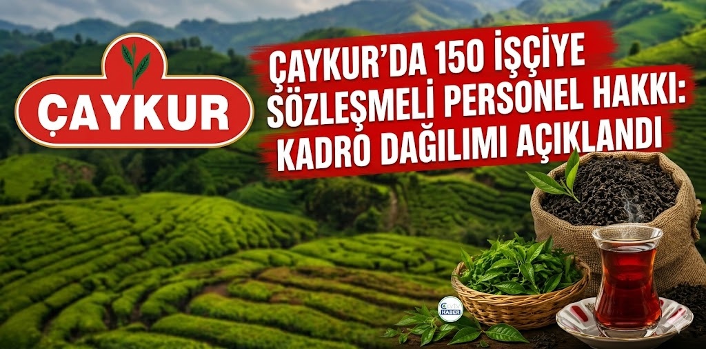 ÇAYKUR’dan 150 Sözleşmeli Personel Alımı! KPSS ile Atama Yapılacak