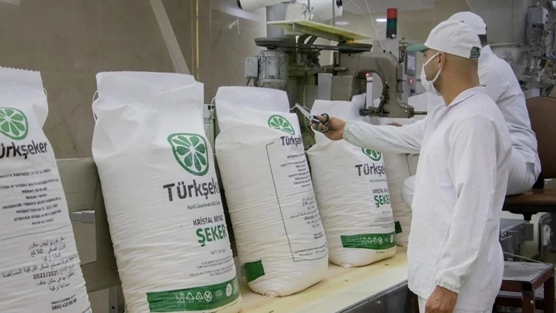 Türkşeker 182 İşçi Alımı İçin Başvurular Başlıyor: İŞKUR Üzerinden 3 Farklı Kontenjanda Alım