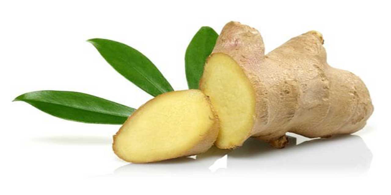 Zencefilin Zayıflamada Etkisi