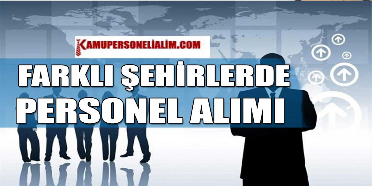 VAVACARS 7 Şehir Personel Alımı Başvuru Ekranı