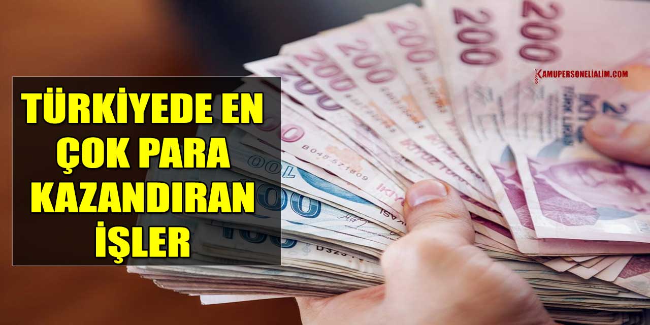 Türkiye’de En Çok Para Kazandıran Meslekler Hangileri