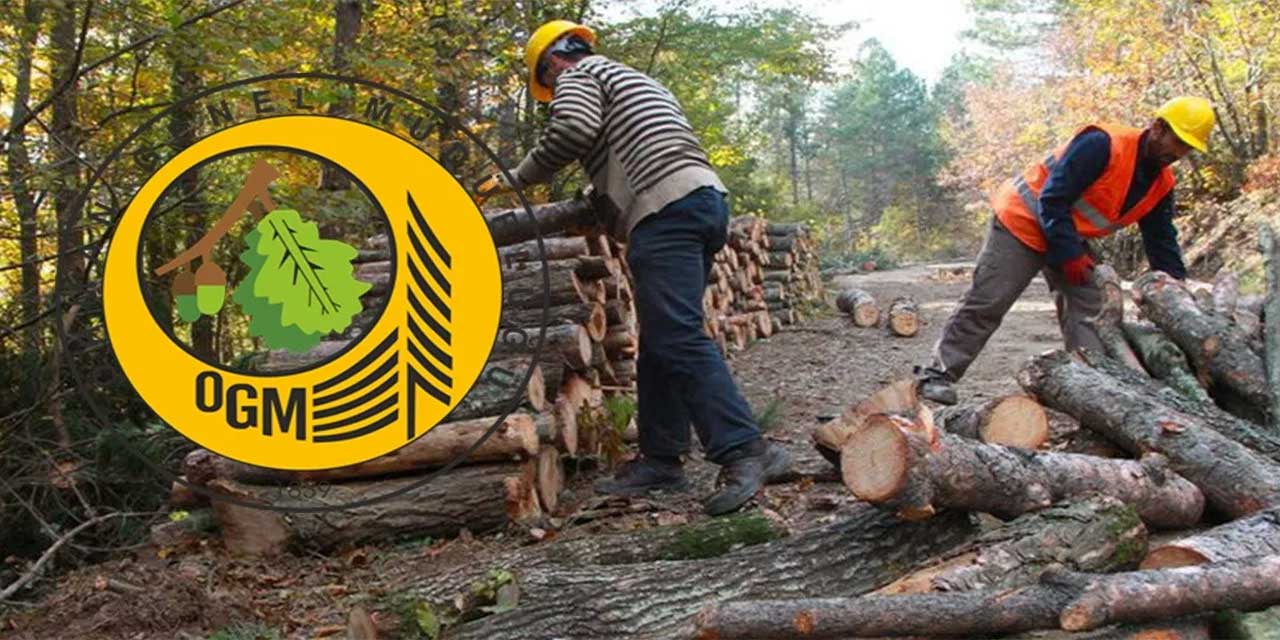 Orman Genel Müdürlüğü Nasıl Personel Alımı Yapar