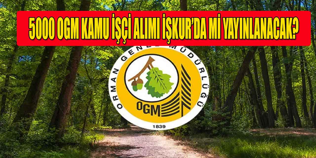 5000 OGM Kamu İşçi Alımı İŞKUR TYP Olarak Mı Yayınlanacak?