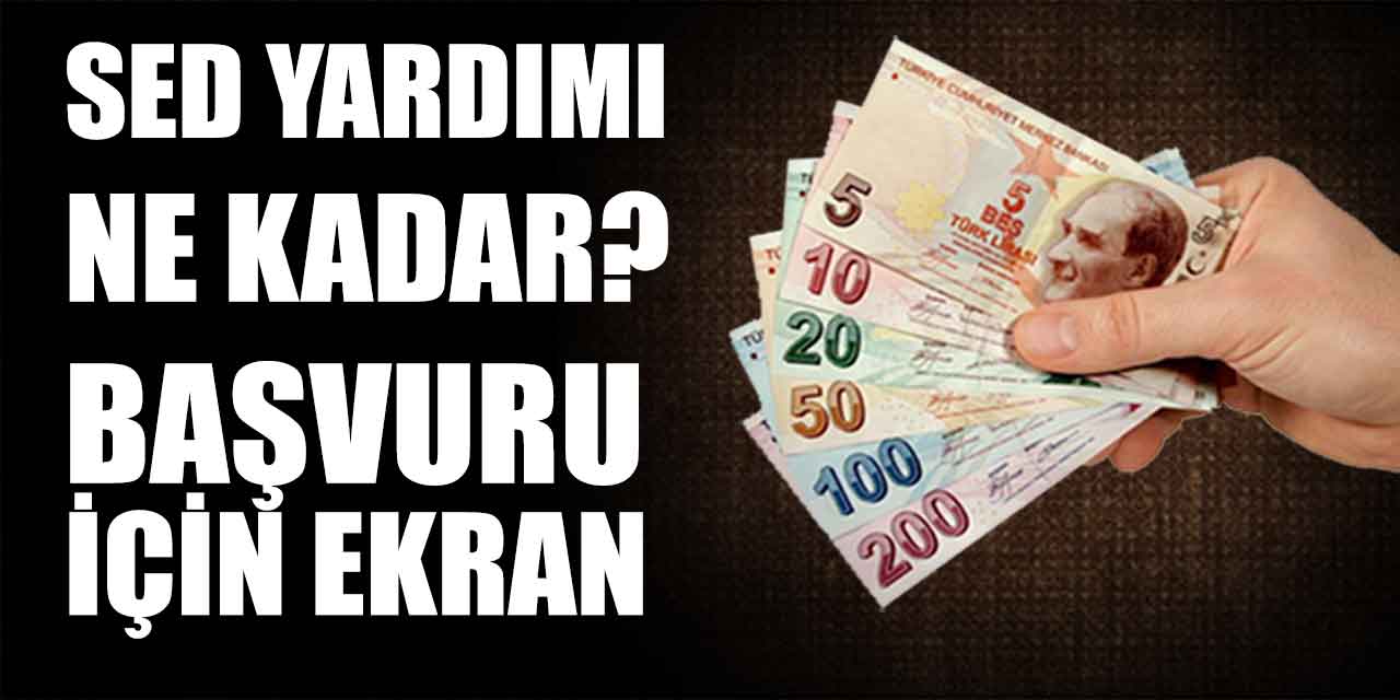 SED Yardım Ücreti Ne Kadar? İşte Başvuru Ekranı