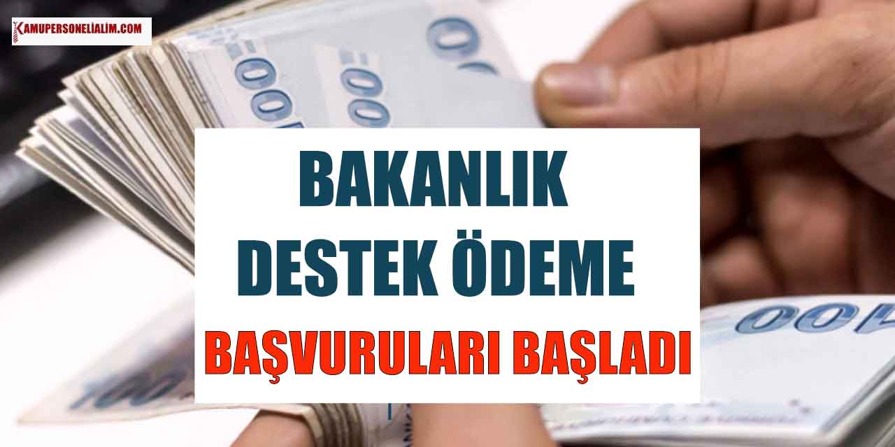 Aile Bakanlığı Destek Ödeme Paketleri Başvuruları! 2023 Şubat Ödemeleri Yatmaya Başladı