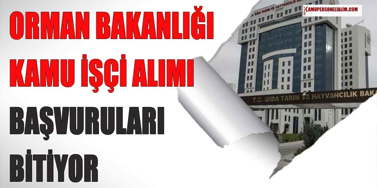 Orman Bakanlığı Kamu İşçi Alımı Başvuruları Bitiyor! İŞKUR İlanları