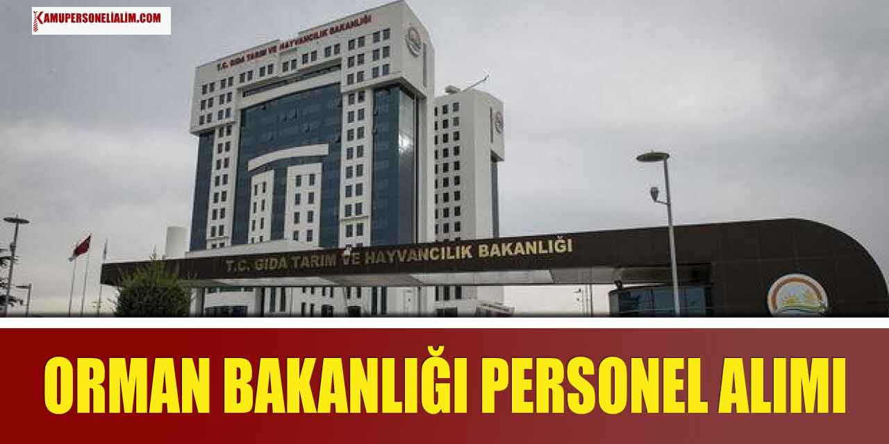 Orman Genel Müdürlüğü İŞKUR’dan Kamu Personeli Alımı Yapıyor
