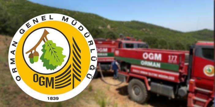 Orman Genel Müdürlüğü 496 Personel Alımı Duyurdu – Şoför, Temizlik ve Büro Kadroları Açıklandı
