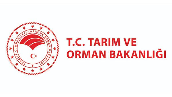tarim123.jpg