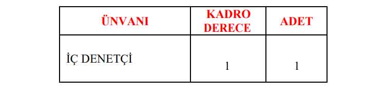 kamu-personeli-alimi.jpg