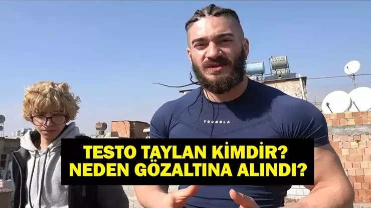 testo-taylan.jpg