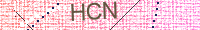 Güvenlik Resmi